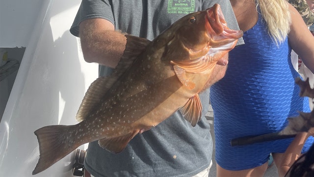 Fishing Report: August 27, 2021