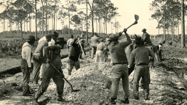 St. Petersburg Museum of History asks for submissions of African American and LGBTQIA+ history