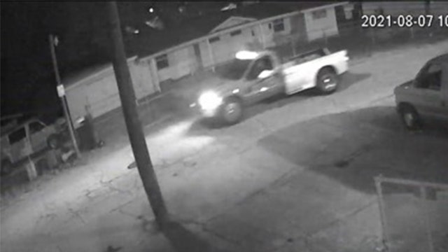 Tampa police searching for pickup truck involved in deadly hit-and-run