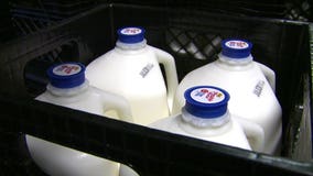 Diet rich in dairy may be linked to lower risk of heart disease: report