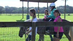 Brooksville center combines physical therapy, horses to help those with disabilities