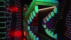 Experience weird, wacky, wonderful Florida at Fairgrounds St. Pete