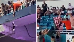 Florida couple who helped save falling cat at Hard Rock Stadium brings American flag to every game