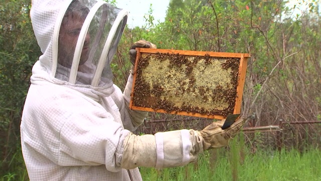 Couple turns passion for pollinators into thriving honey business