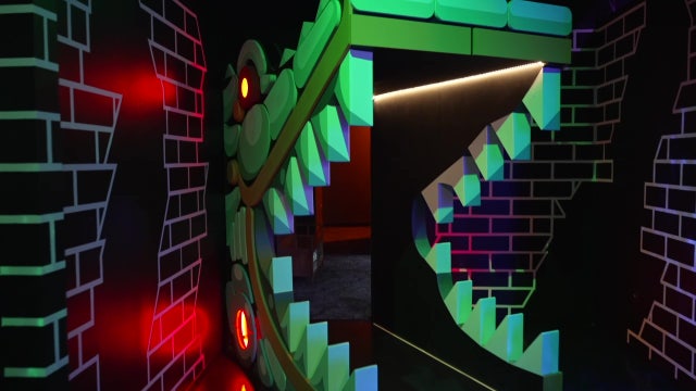 Experience weird, wacky, wonderful Florida at Fairgrounds St. Pete