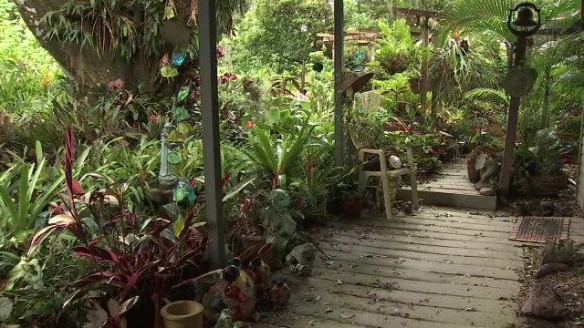 Family hopes to save life's work of Hillsborough County master gardener