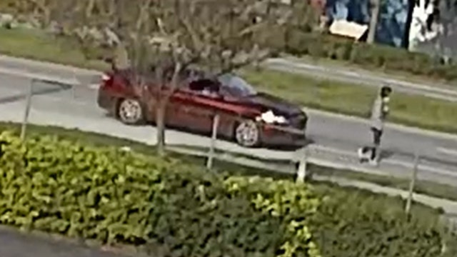 Florida troopers search for hit-and-run driver in deadly Hillsborough pedestrian crash