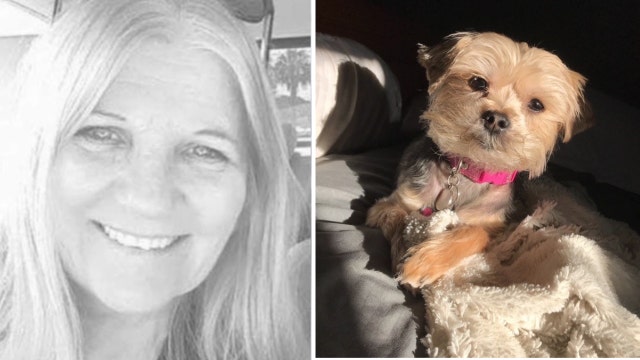 FHP: Speeding Tesla crashes into Palm Harbor home, killing woman and dog inside