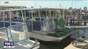 Experience Clearwater Bay through the eyes of a marine biologist