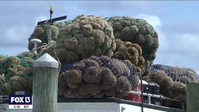 Historic Tarpon Springs sponge dock site changes hands, with renovations planned