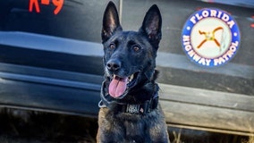 DeSantis signs new Florida law to cover medical costs for retired police dogs