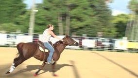 Pasco County riding association creates friendly atmosphere of competition for horse lovers