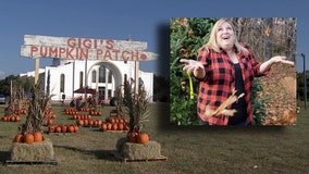 Pumpkin patch honors Pasco County teacher who died from COVID-19