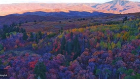Drone photographer captures ‘Skittles rainbow of color’ in Utah