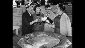 Water from St. Pete's famed Fountain of Youth contained high levels of lithium