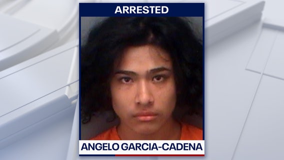 Countryside High student brought gun for 'criminal act against another student,' police say