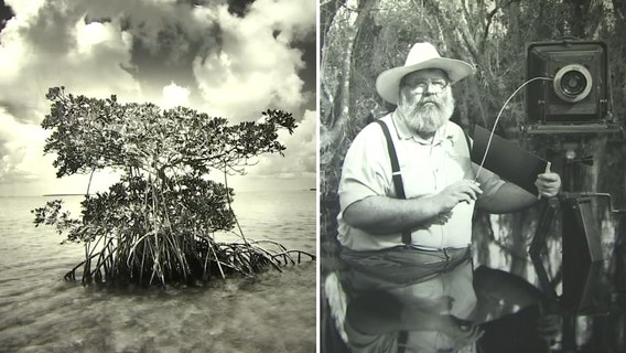Clyde Butcher exhibit showcasing Florida Everglades will be on display in Clearwater library