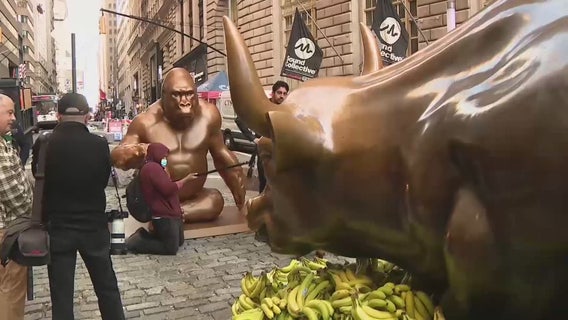 Harambe statue stares down Wall Street's charging bull