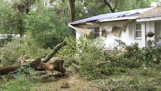 Wind causes trees to come crashing down on Brooksville home
