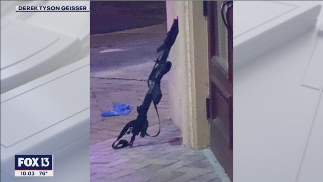Police shoot, kill man pointing military-style rifle at drivers in Tarpon Springs