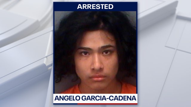 Countryside High student brought gun for 'criminal act against another student,' police say