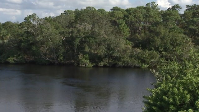 Tarpon Springs commissioners approve plan for controversial apartment project