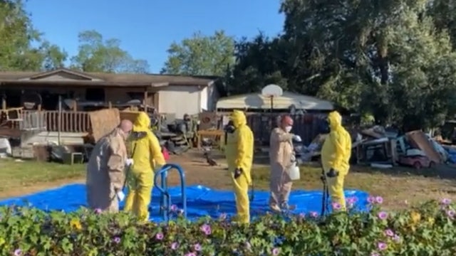 Over 200 animals rescued from 'deplorable conditions' in Florida home, sheriff says