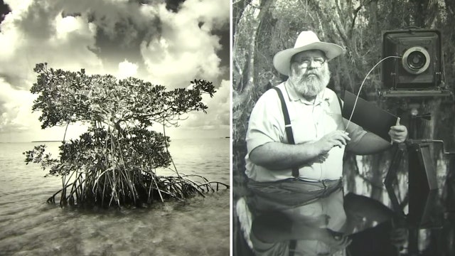 Clyde Butcher exhibit showcasing Florida Everglades will be on display in Clearwater library