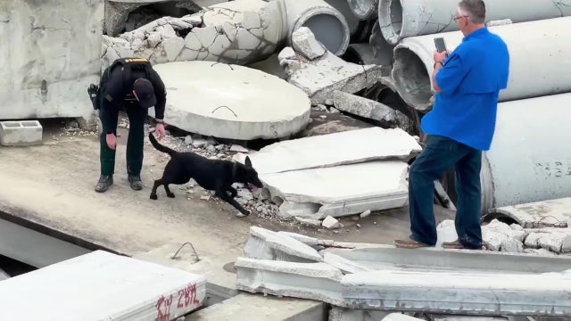 Pasco Sheriff's Office K-9s skilled in finding everything from bombs to bodies
