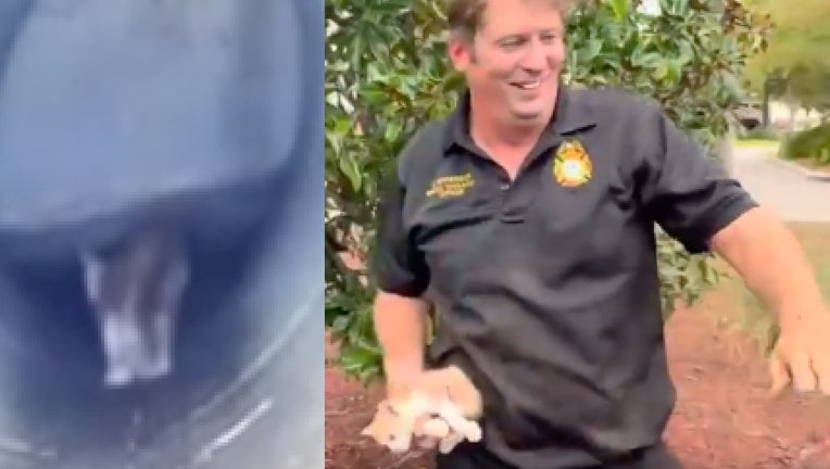 8db6f585-cat rescued from storm drain