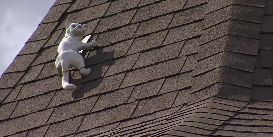 Cat On Funeral Home Roof Becomes Neighborhood Icon