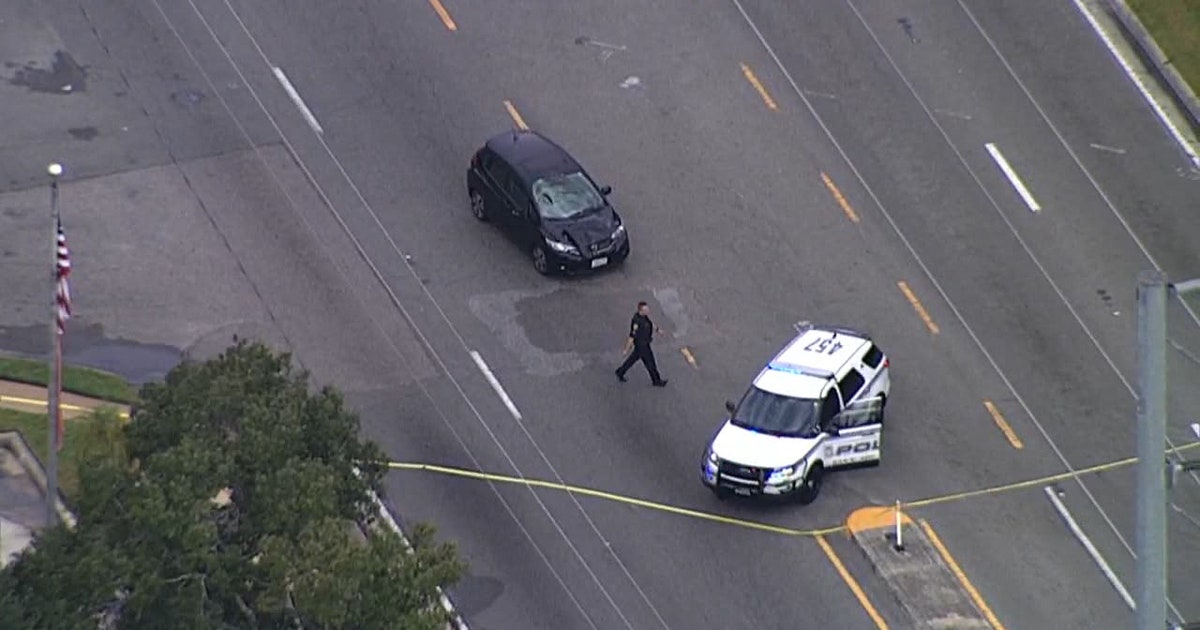 Tampa police investigating deadly pedestrian crash | FOX 13 Tampa Bay