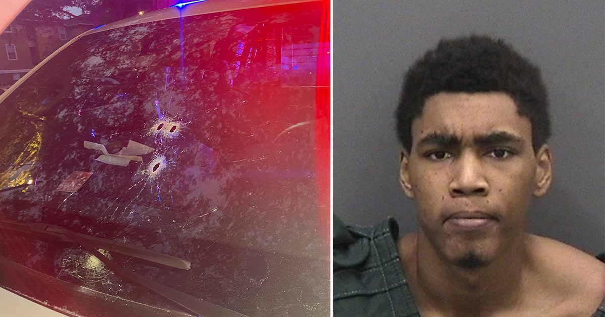 Tampa man arrested after shooting at Hillsborough deputy during ...