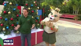 ‘Christmas in the Wild’ returns to ZooTampa this week