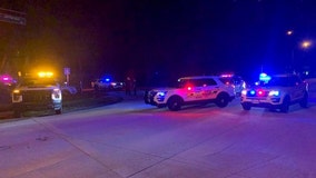 Hernando County deputy, K-9 injured in crash