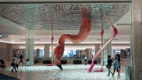 Giant pink flamingo sculpture coming to Tampa International Airport 'coming soon'