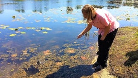 Grasshopper altered woman’s career path, leading her to become an expert on Florida’s water quality
