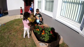 Riverview teacher earns national award for creating school butterfly garden