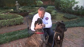 Puppies with a purpose help struggling veterans, first responders