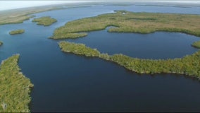 Environmental activists, state at odds over how to spend $1B Everglades restoration fund