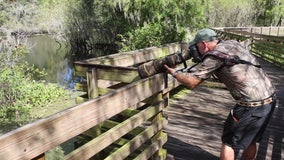 Wildlife photographers find endless possibilities around Tampa Bay