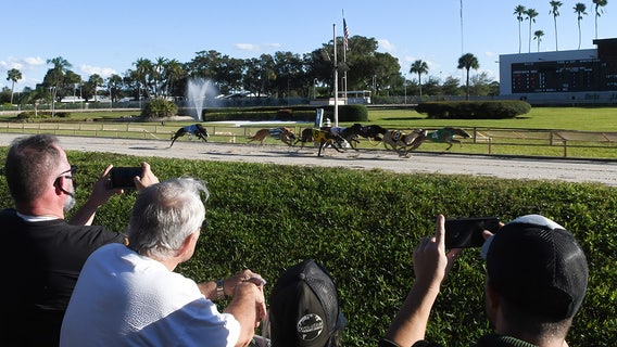 Judge rejects latest lawsuit over greyhound racing ban