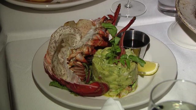 Michelin Guide another ‘feather in the cap’ for Tampa tourism