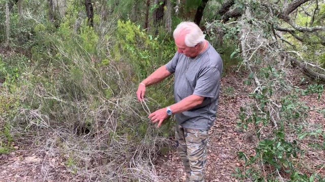 Environmental activists racing to raise $3 million to keep 14-acre property out of hands of developers