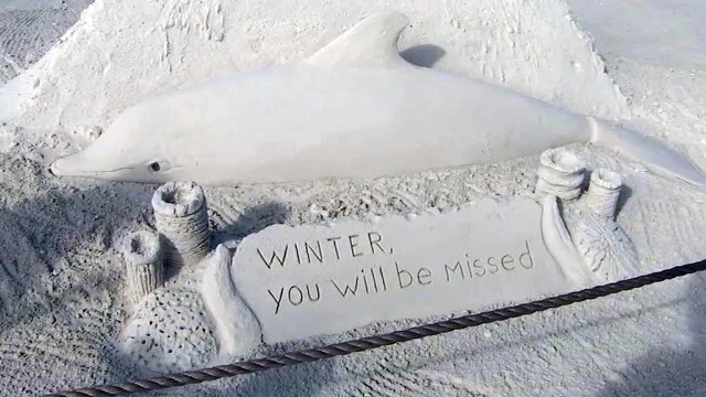 Winter the dolphin honored at 13th annual Sanding Ovations