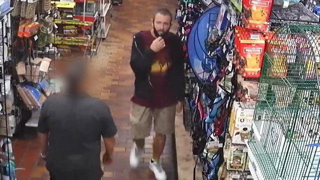 Police: Man walked off with endangered $3,800 macaw