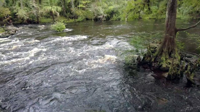 Slow down at these rapids, just a half hour from Tampa