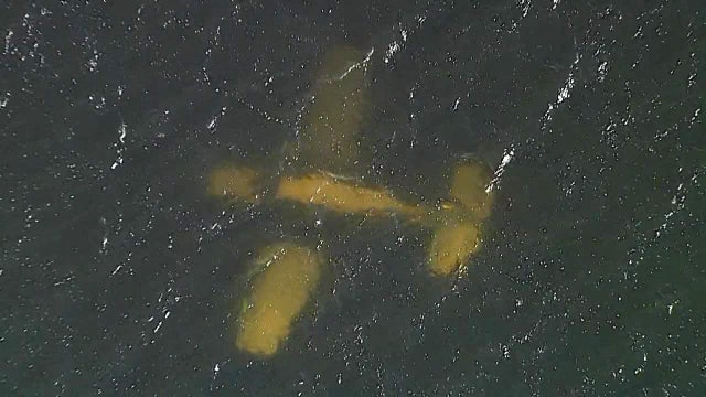 2 rescued after small plane winds up in water off Davis Islands