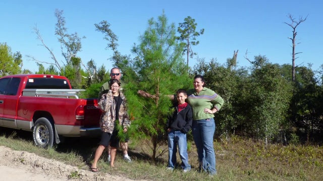 You can chop down your own Christmas tree for $10 at this Polk County park