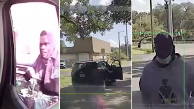 Tampa police search for suspects seen stealing driver's personal items from Amazon truck
